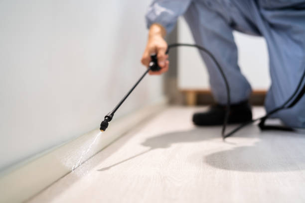 Licensed Emergency Pest Control service in Port Hadlock-Irondale, WA - Nex Pest Control