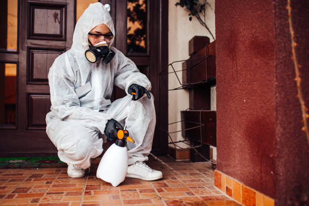 Reliable Emergency Pest Control contractor in Port Hadlock-Irondale, WA by Nex Pest Control