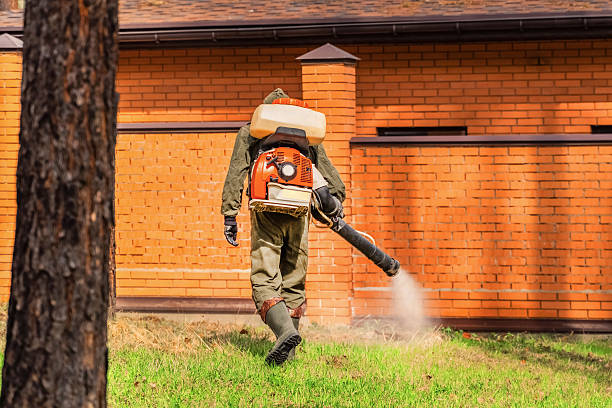 Trusted Emergency Pest Control service in Port Hadlock-Irondale, WA - Nex Pest Control